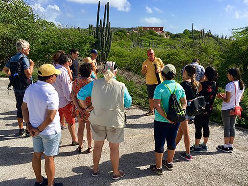 Curacao Flora and Fauna Shore Excursion Cost