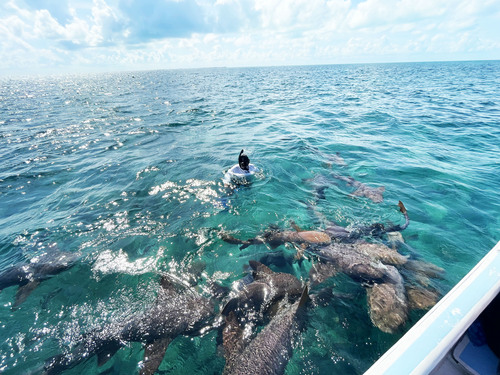 Belize boat snorkeling Tour Tickets