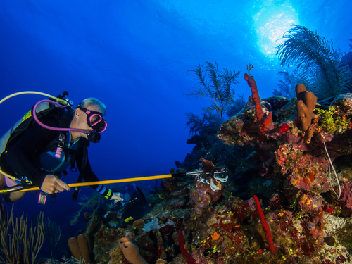 Costa Maya spearfishing Cruise Excursion