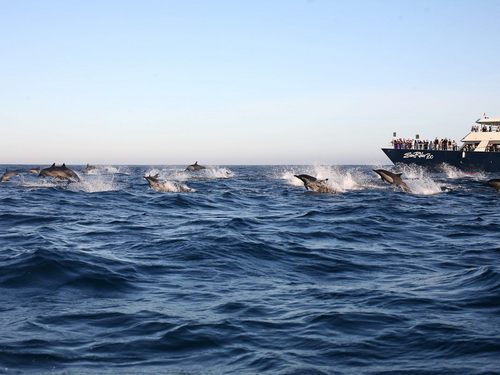 Cabo San Lucas Lovers Beach Reservations