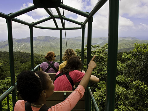 St. Lucia (Castries) hike Shore Excursion Reviews