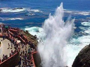 Ensenada ATV Countryside and Bufadora Blowhole Excursion