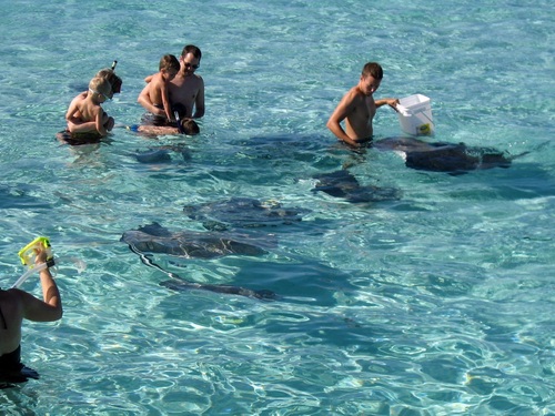 Grand Cayman waverunner Excursion Reservations