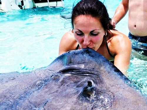 Grand Cayman stingray snorkel Shore Excursion Tickets