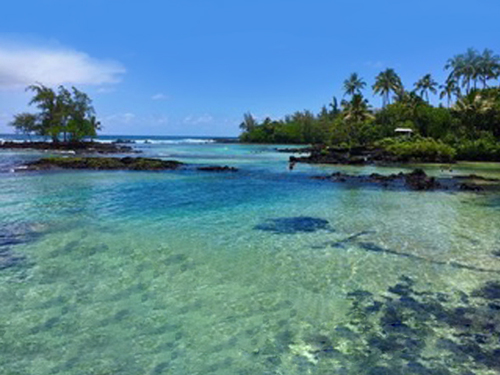 Hilo beach Excursion Cost