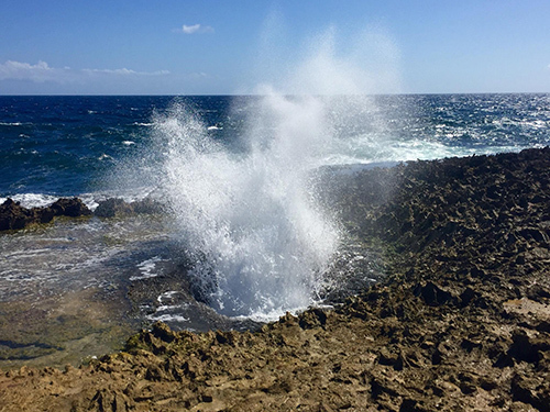 Curacao Desert Shore Excursion Cost