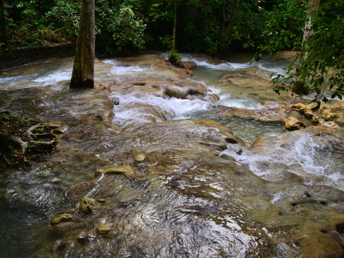 Falmouth Jamaica fun Tubing Trip Booking