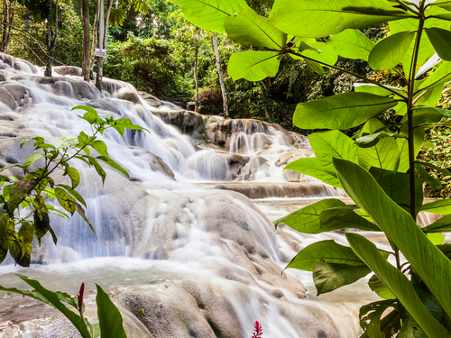 Falmouth waterfall climb Sightseeing Excursion Prices