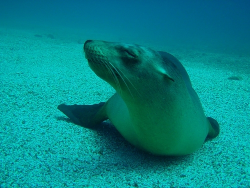 Ensenada  Mexico beautiful reefs Booking