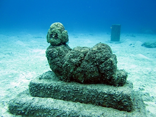 Cozumel snorkeling in beautiful water Tour