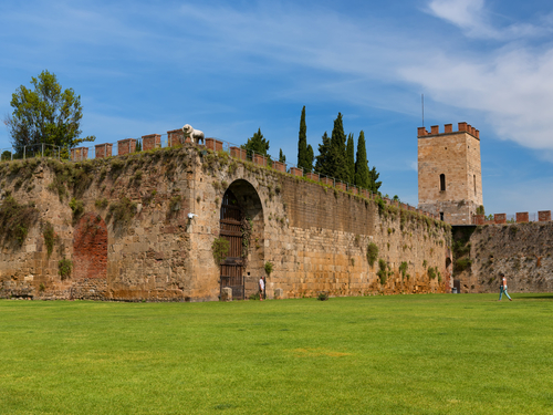 Florence Food Shore Excursion Booking