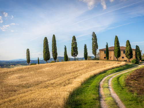 Florence Piazza dei Priori Sightseeing Tour Booking