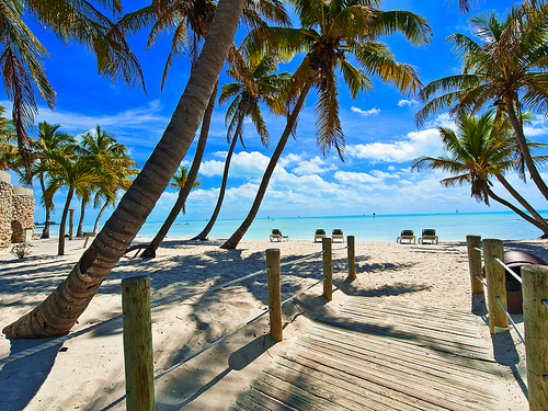 Fort Lauderdale  Florida key west Trip Reviews