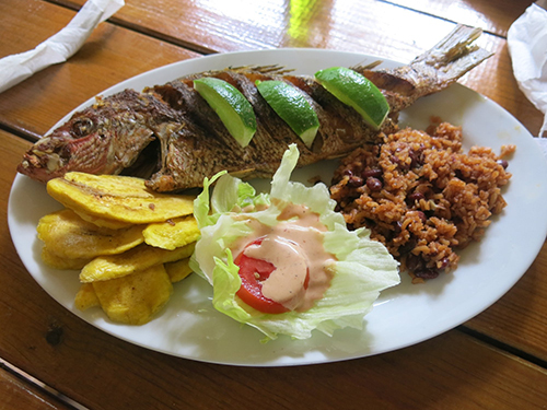 Roatan Caribbean Lunch Shore Excursion Tickets