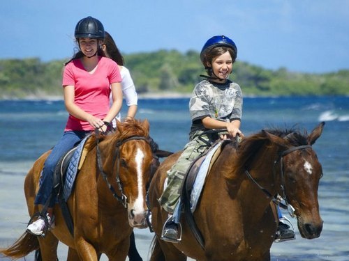 Falmouth horse riding through water Prices