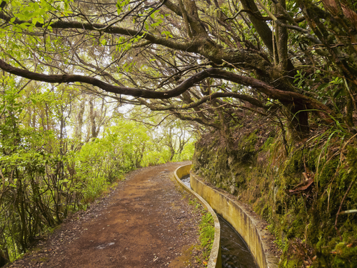 Funchal  Portela 4x4 Cruise Excursion Reservations