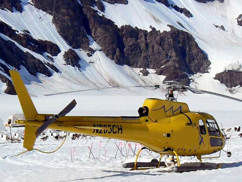 Juneau Mendenhall Ice Field Shore Excursion Reviews