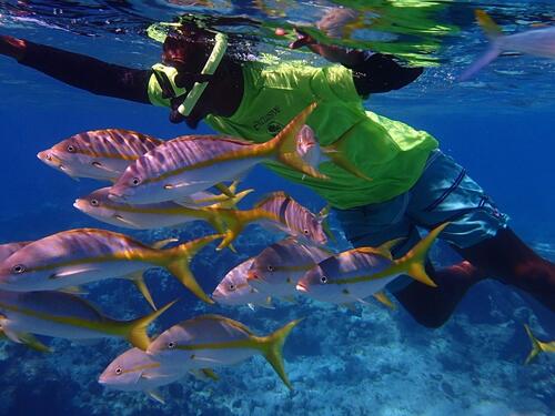 Grand Turk Supreme Snorkeling Cruise Excursion Cost