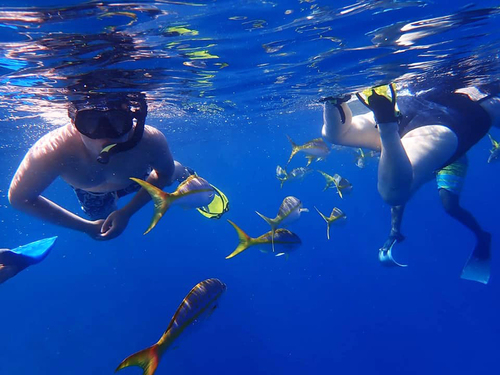 Grand Turk  Turks and Caicos Underwater Tour Tickets