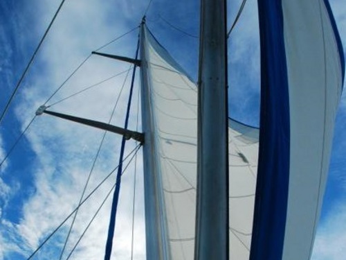 Nassau half day sailing Trip