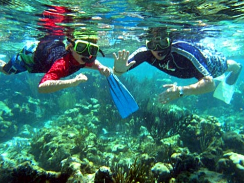 Grand Cayman Stingray City  Booking