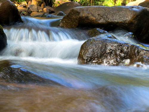 Ocho Rios river tubs Cost