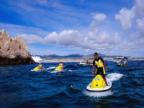 Cabo San Lucas Sea Lion Colony Prices