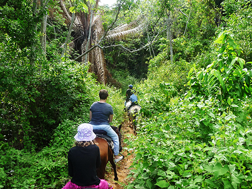 Roatan veiw point Cruise Excursion Cost