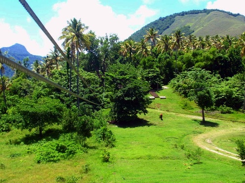 St. Lucia coconut plantation Excursion Reviews