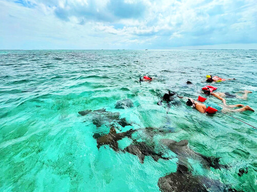 Belize Hol Chan Reserve Park Tour Booking