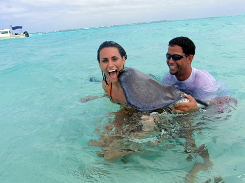 Grand Cayman stingray city Trip