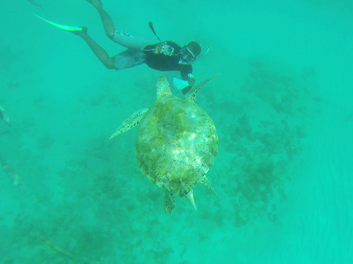 Barbados  West Indies (Bridgetown) Beach Break Excursion