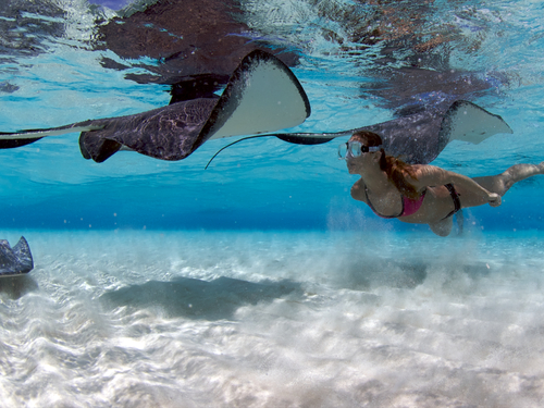 Grand Cayman coral barrier reef snorkel Reviews