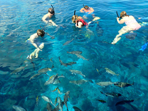 Roatan snorkel Tour Reviews