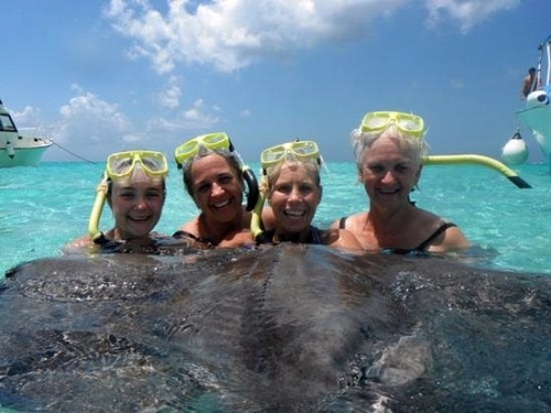 Grand Cayman Stingray City sandbar Tour