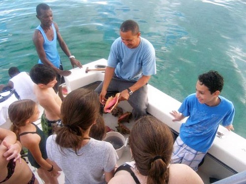 Grand Cayman  Grand Cayman (George Town) snorkeling Excursion