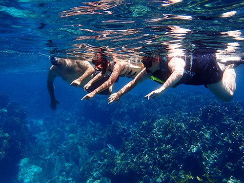 Roatan sloth Cruise Excursion Cost