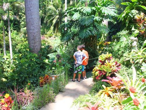 Barbados rum production Tour