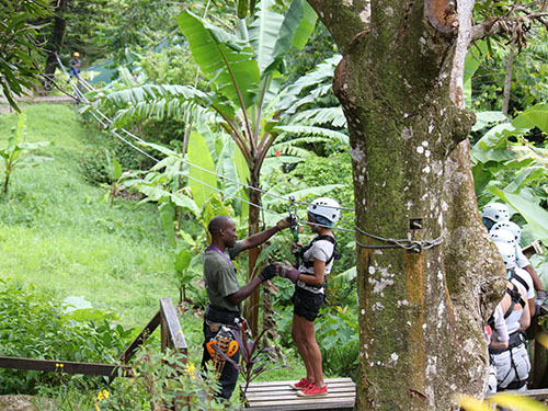 St. Lucia (Castries)  flora Trip Prices