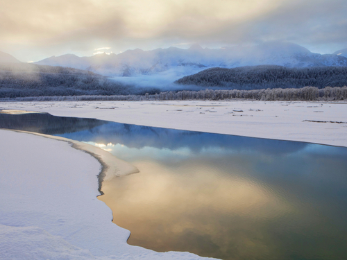 Haines Rafting boat Private Cruise Excursion Tickets