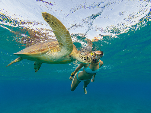 Harvest Caye Belize Eco Friendly Snorkel Tour Reviews