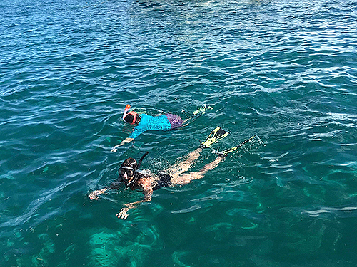 Harvest Caye Family Snorkel Tour Reviews