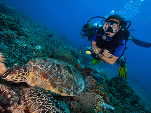 Harvest Caye Belize National Park Cruise Excursion Prices