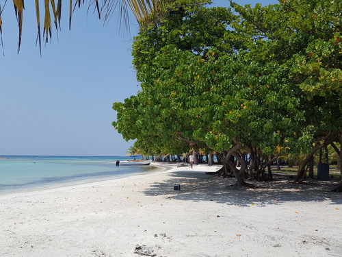 Harvest Caye  Belize National Park Shore Excursion Prices