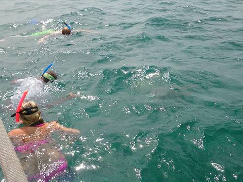 Harvest Caye  Belize Snorkel adventure Shore Excursion Cost