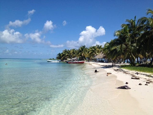 Harvest Caye Discover Scuba Cruise Excursion Cost