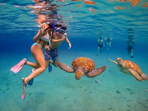 Harvest Caye Barrier Reef Snorkel Trip Booking