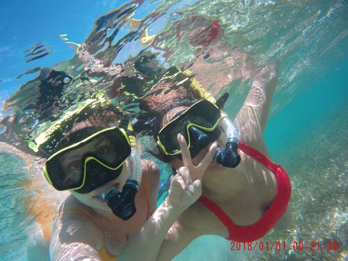 Harvest Caye Eagle Rays  Snorkel Trip Booking