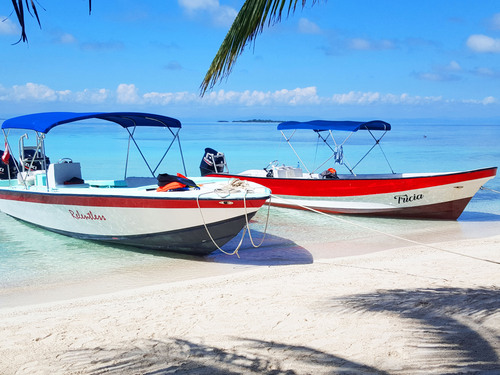 Harvest Caye Private Fishing and Snorkeling Excursion