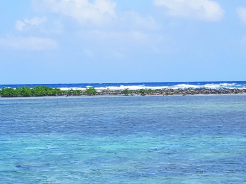 Harvest Caye Private Fishing and Snorkeling Excursion